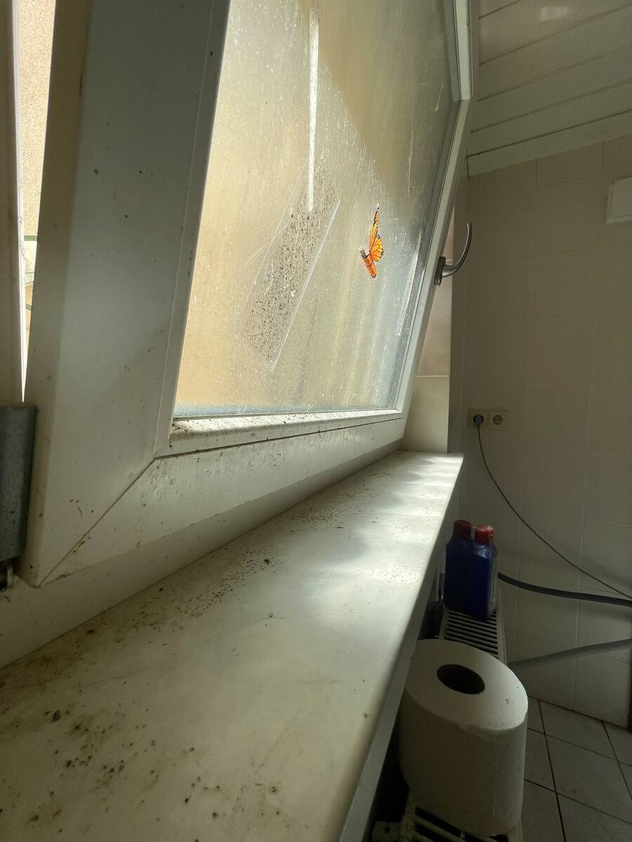Vorher: stark verschmutzte Fensterbank und Fensterrahmen
