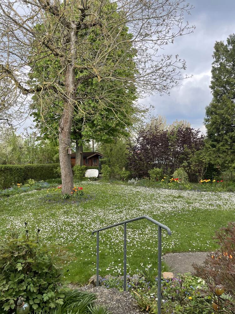 Gepflegte Gartenanlage mit Rasen, Baumbestand und Staudenbeeten