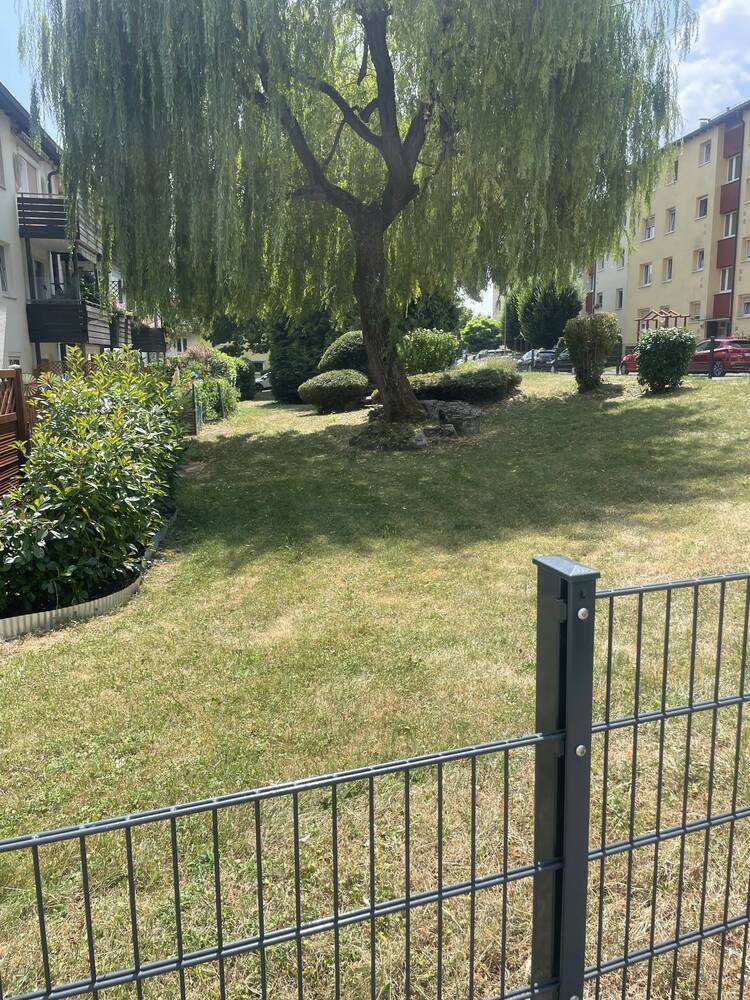 Frisch gemähte Rasenfläche einer Wohnanlage mit Trauerweide